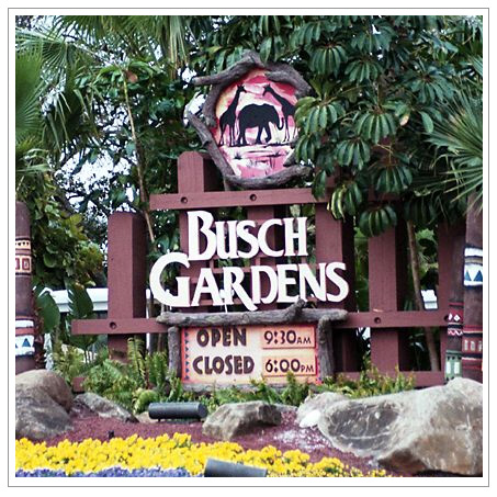Busch Gardens