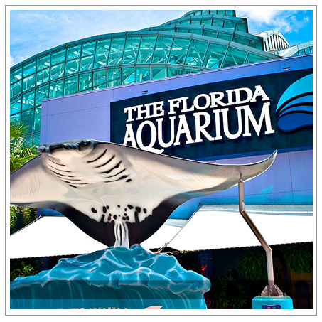The Florida Aquarium