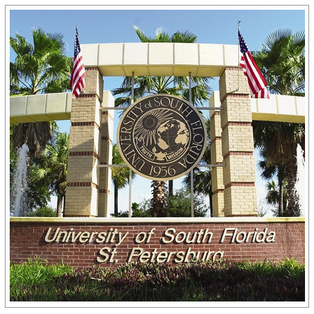 University of South Florida